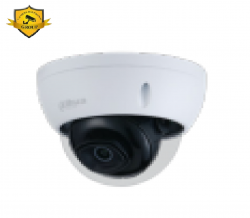 Camera IP Dahua DH-IPC-HDBW2231EP-S-S2