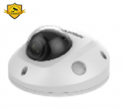 Camera IP 2MP mini dome DS-2CD2523G2-IS