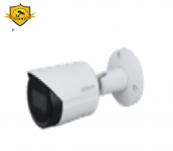 Camera IP Dahua DH-IPC-HFW2231SP-S-S2