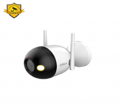 Camera WIFI Dahua DH-F4C-PV