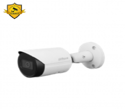 Camera IP Dahua DH-IPC-HFW2841S-S